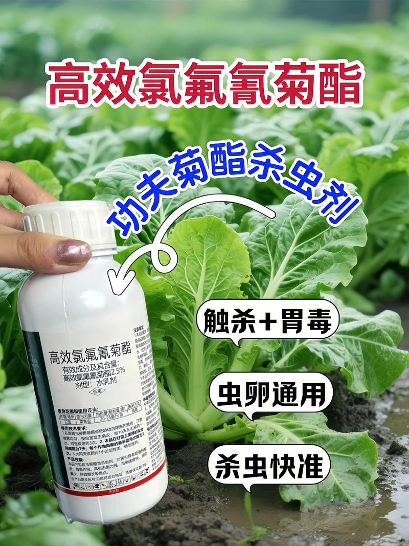 河北代生中心:农药对供卵代生妈妈的危害